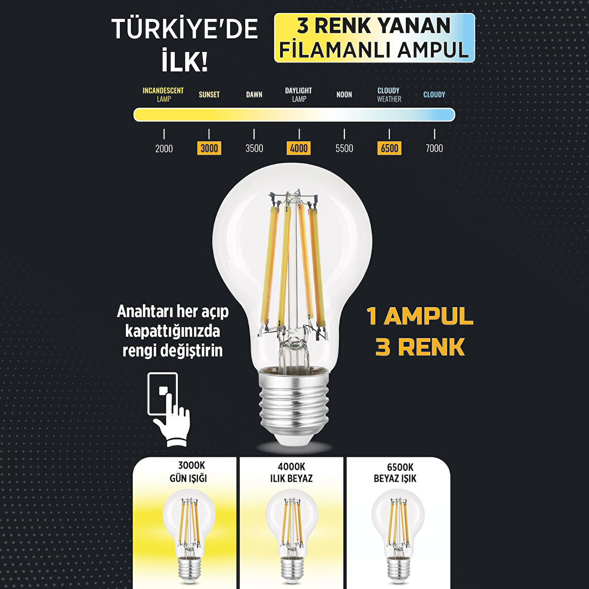 Heka 3 Renkli Led Filament Rustik Ampul 6W E27 A60 ERD-261