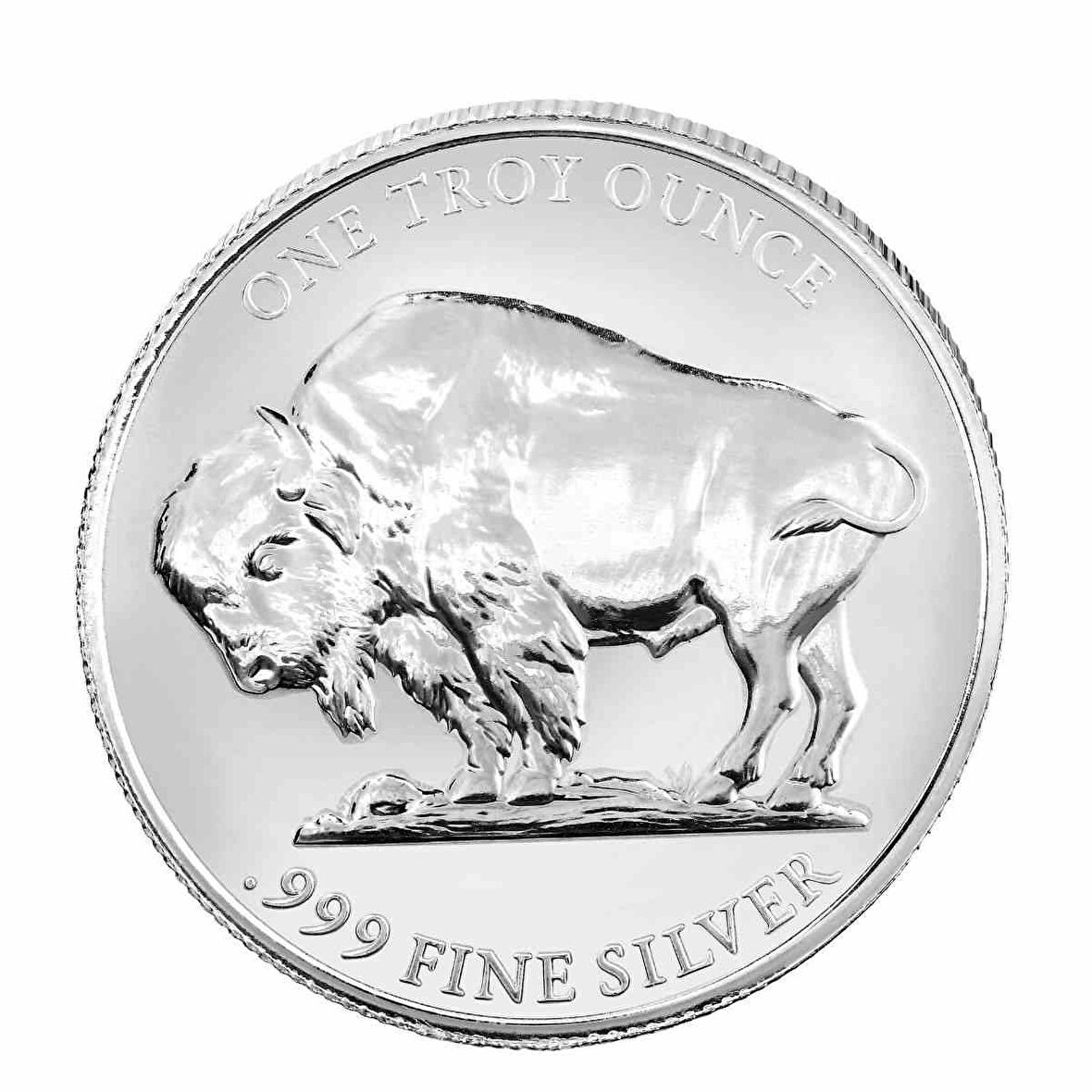 AgaKulche Amerikan Buffalo 2025 Gümüş Sikke Coin