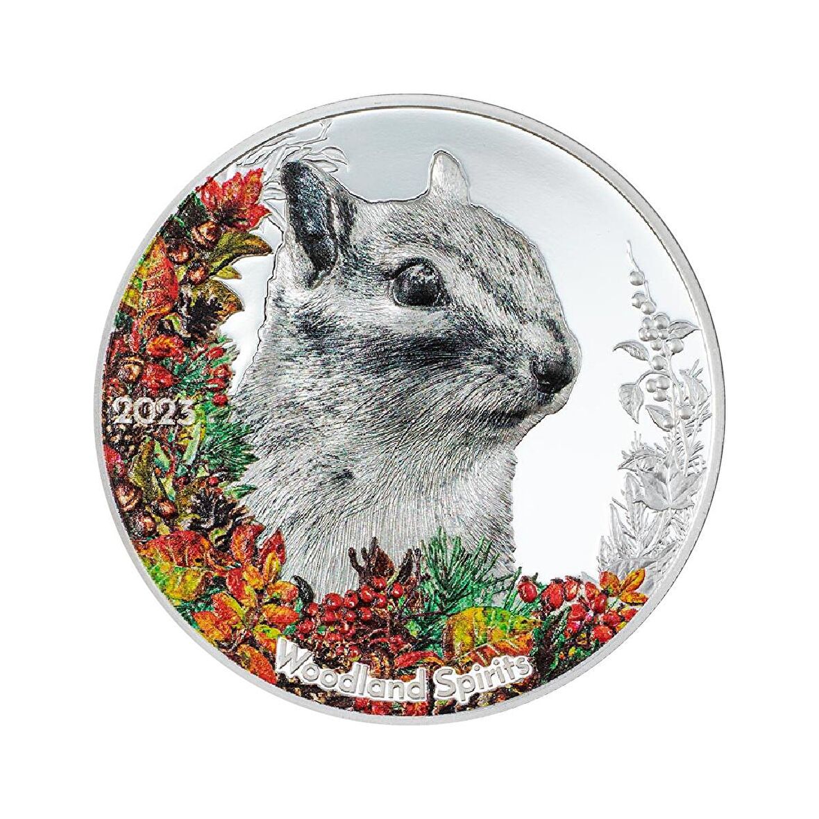 AgaKulche Sincap Gümüş Sikke Coin
