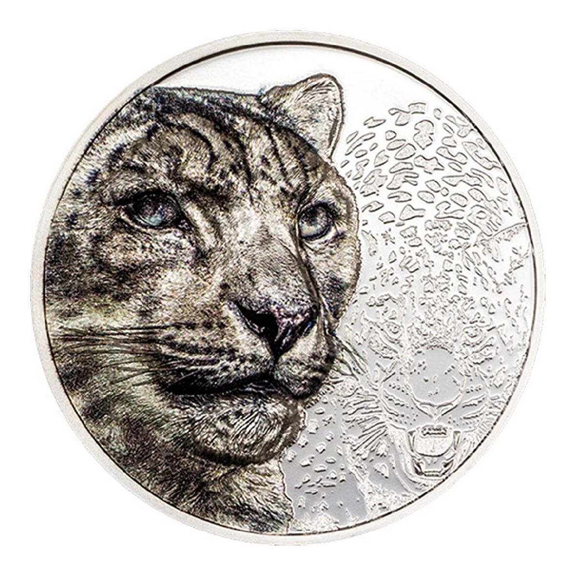 AgaKulche Kar Leoparı Gümüş Sikke Coin