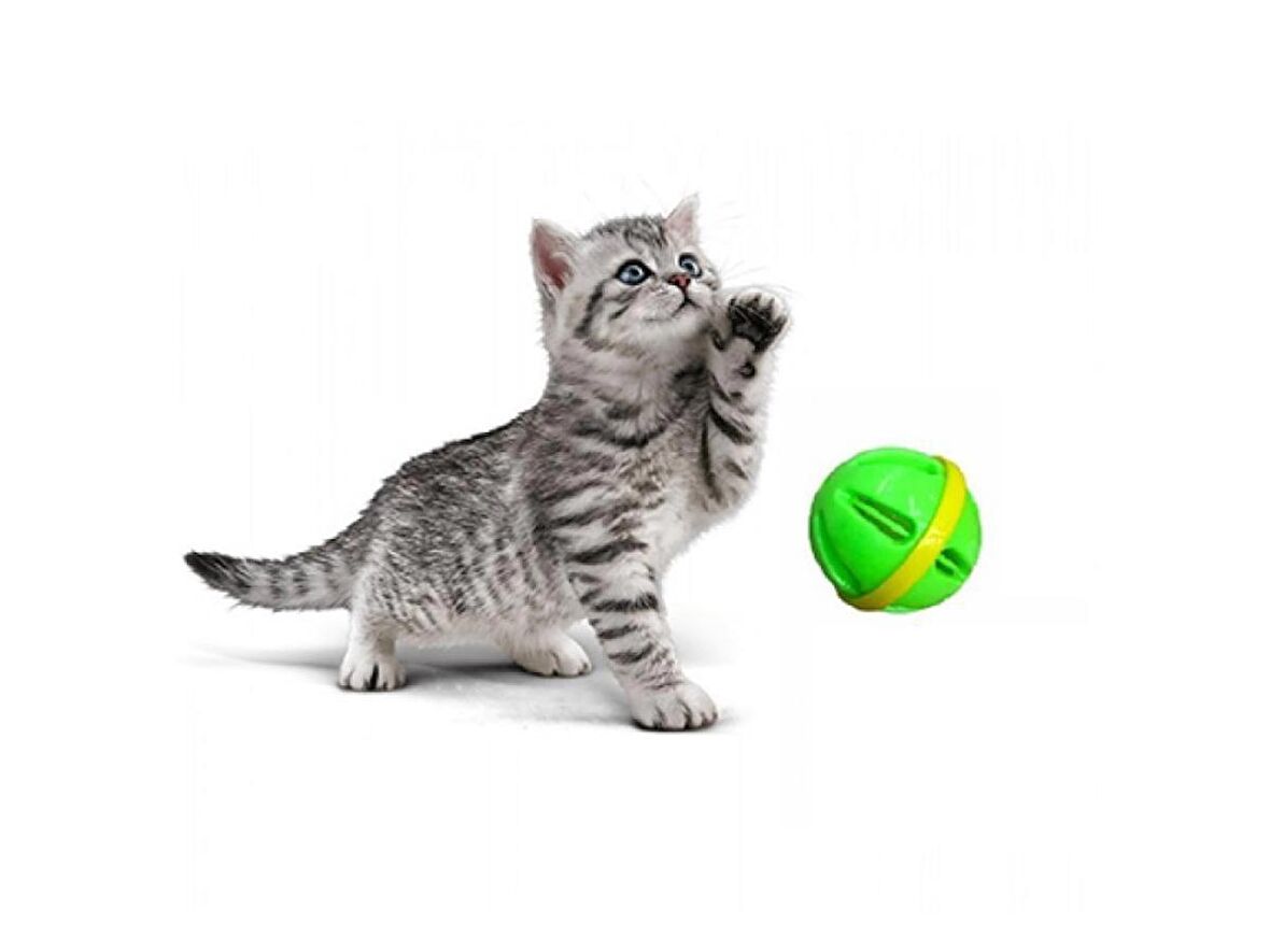 TİNEKE ÇINGIRAKLI KEDİ OYUN TOPU  RENKLİ  6.5 CM 1 ADET