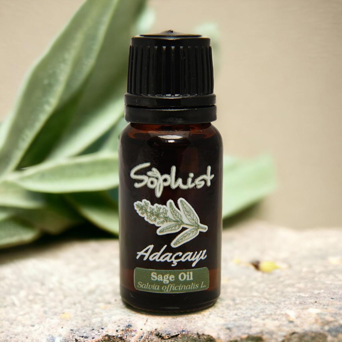 Sophist Adaçayı Uçucu Yağı 10mL