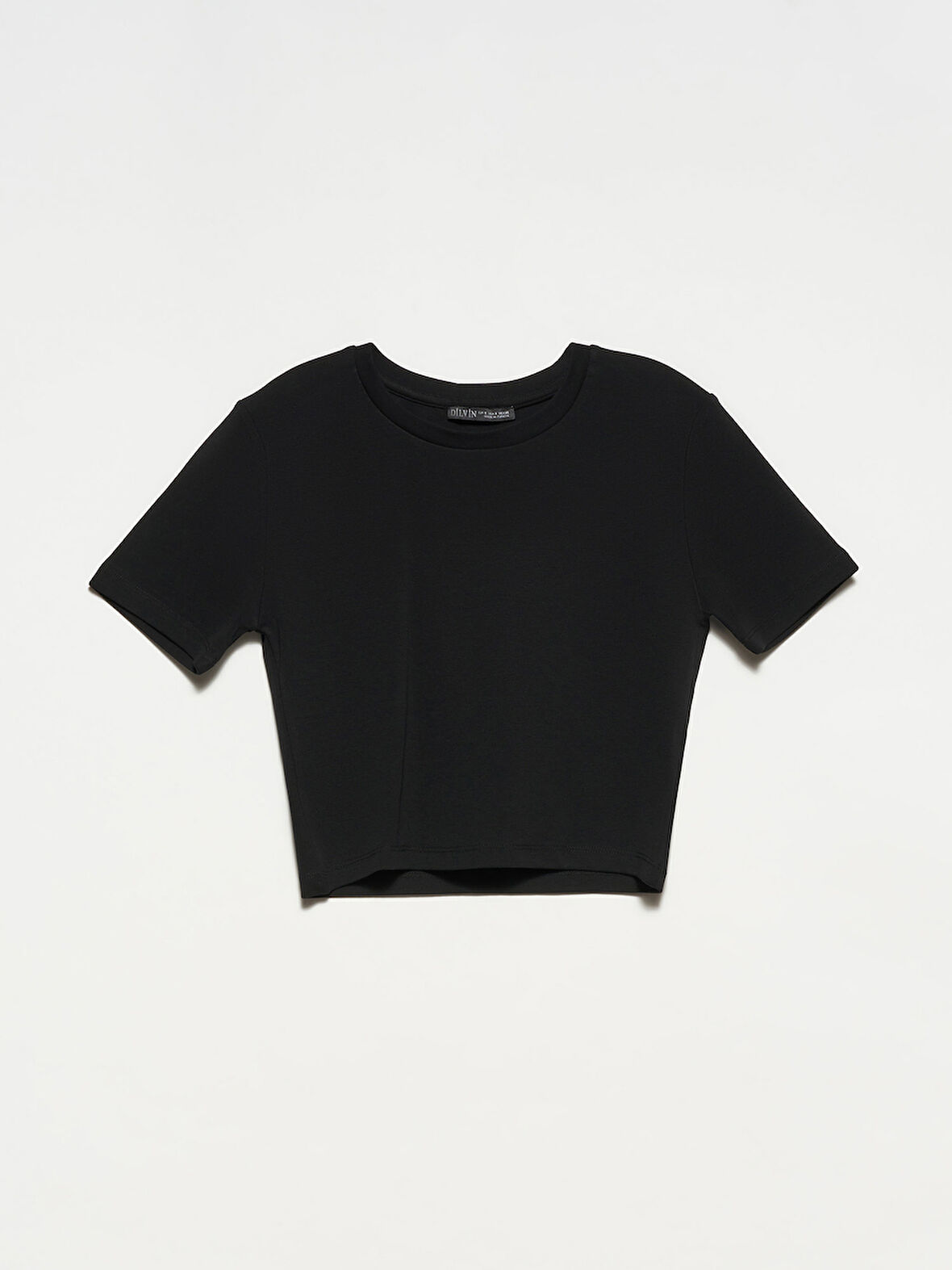 30124 DİLVİN CROP T-SHIRT