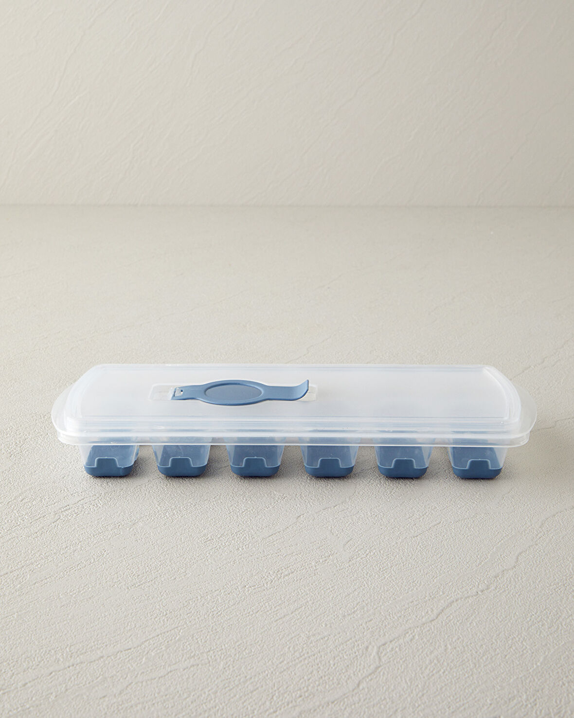 English Home Virginie Plastik Buz Kalıbı 24x10 cm Mavi