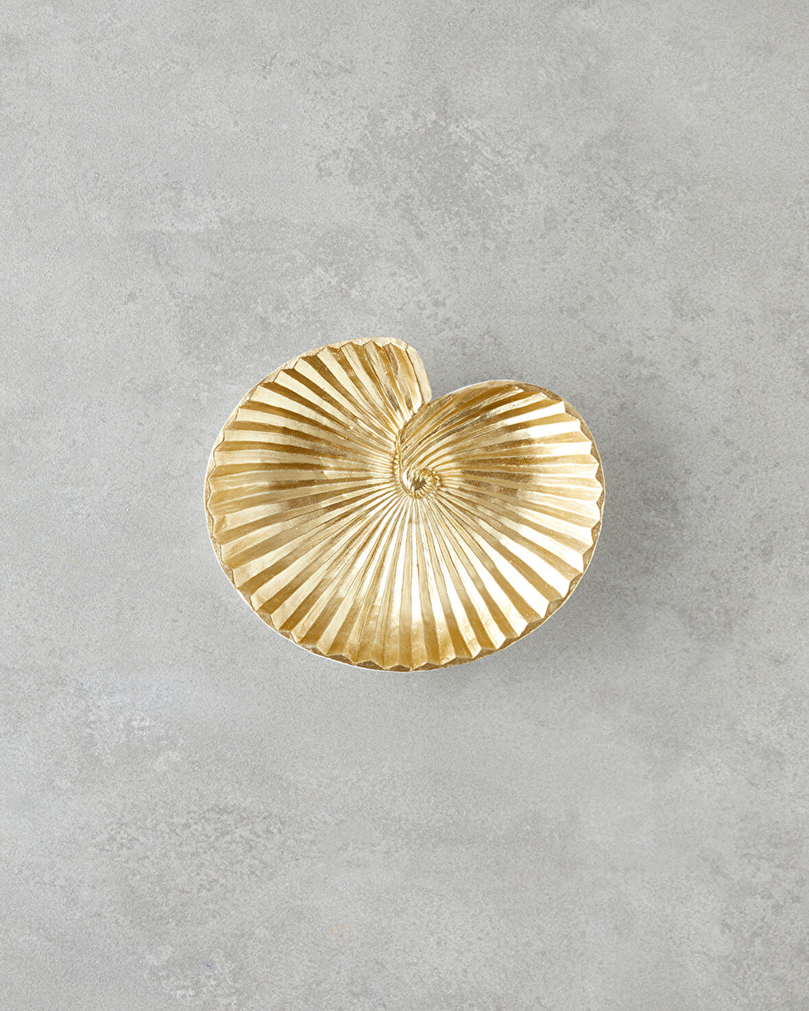Sea Shells Dekoratif Tabak 19x15,7x4,8 cm Gold