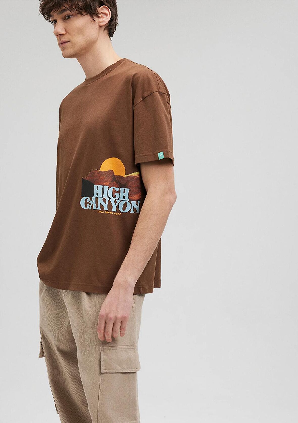 Mavi Baskılı Kahverengi Tişört 0612092-70241