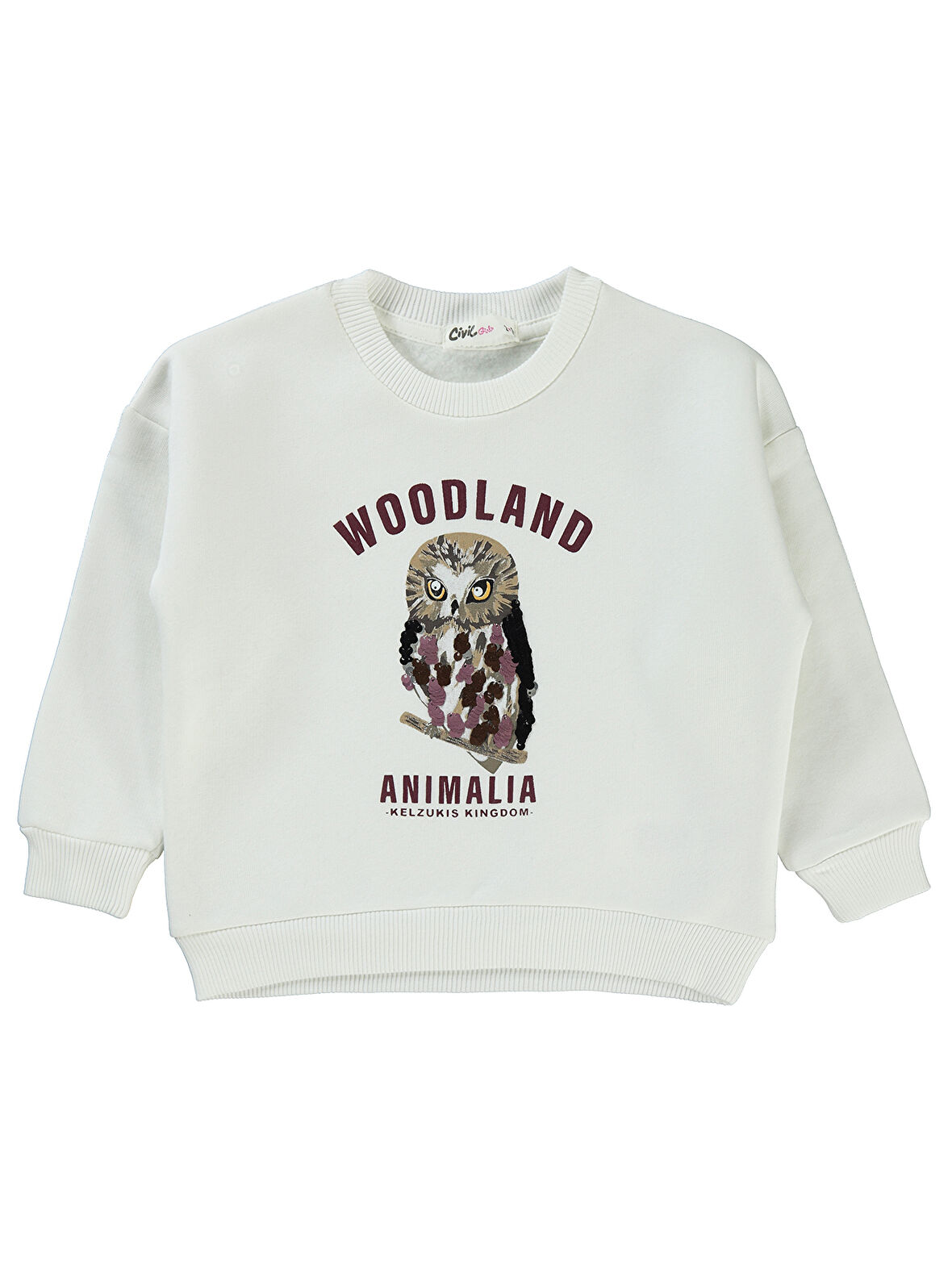 Civil Girls Kız Çocuk Sweatshirt 2-5 Yaş Ekru