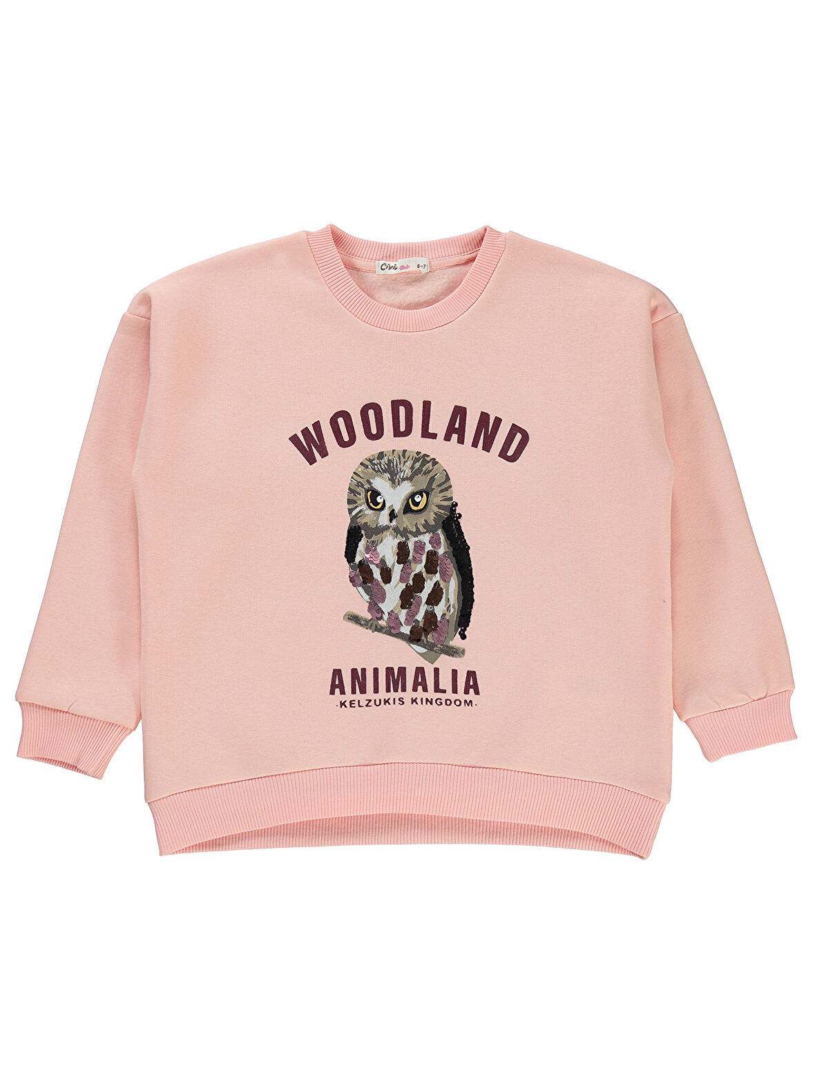 Civil Girls Kız Çocuk Sweatshirt 10-13 Yaş Pudra