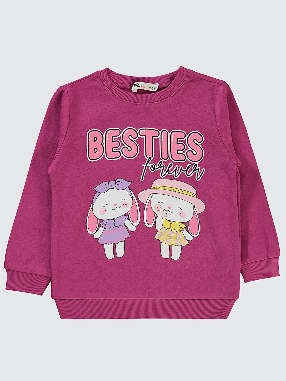 Civil Girls Kız Çocuk Sweatshirt 2-5 Yaş Leylak Pusu