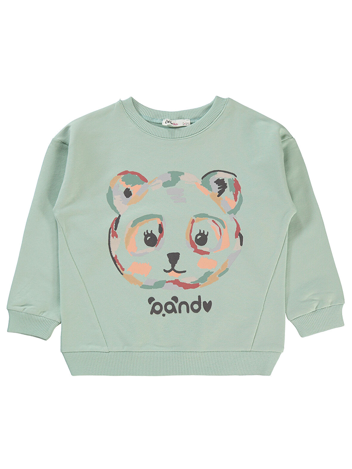 Civil Girls Kız Çocuk Sweatshirt 2-5 Yaş Taze Nane