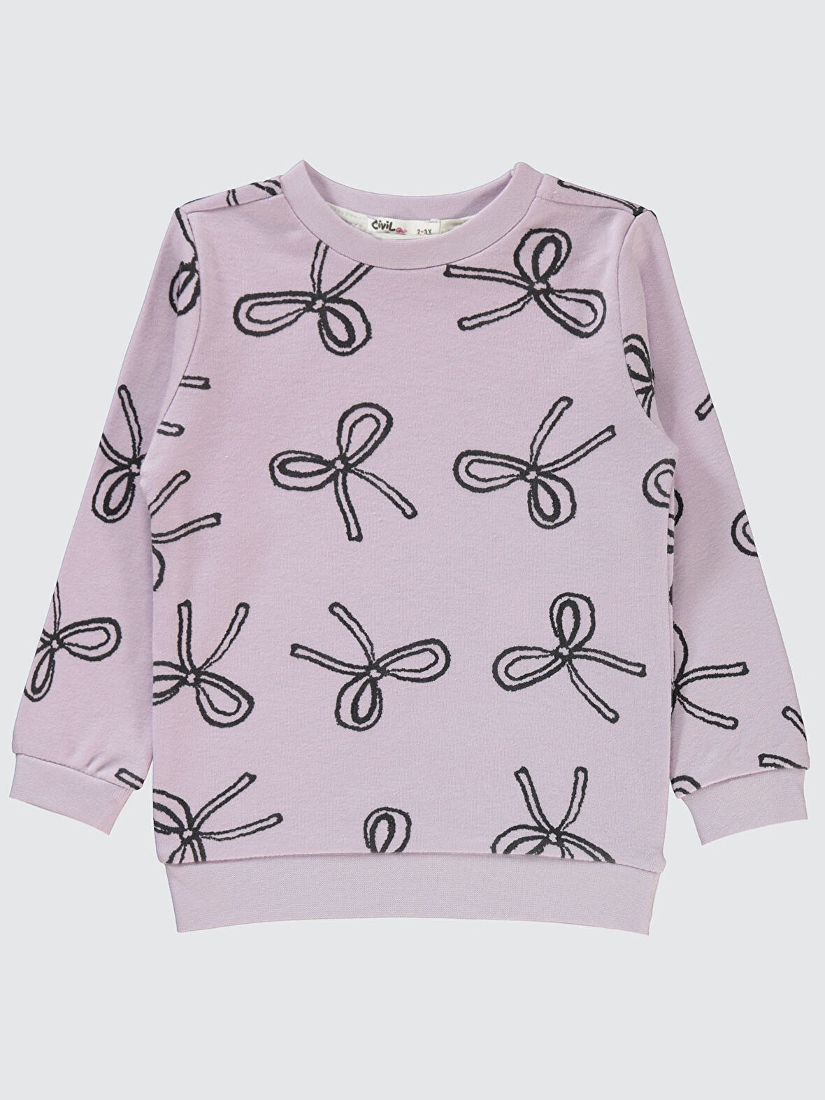 Civil Girls Kız Çocuk Sweatshirt 2-5 Yaş Nazik Lavanta