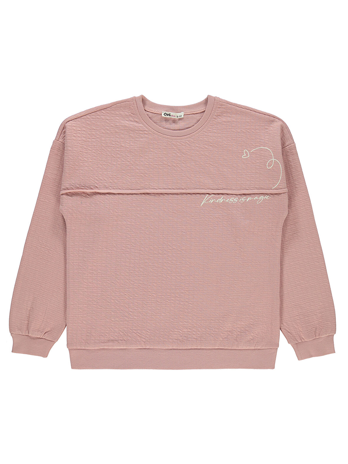 Civil Girls Kız Çocuk Sweatshirt 10-13 Yaş Pudra