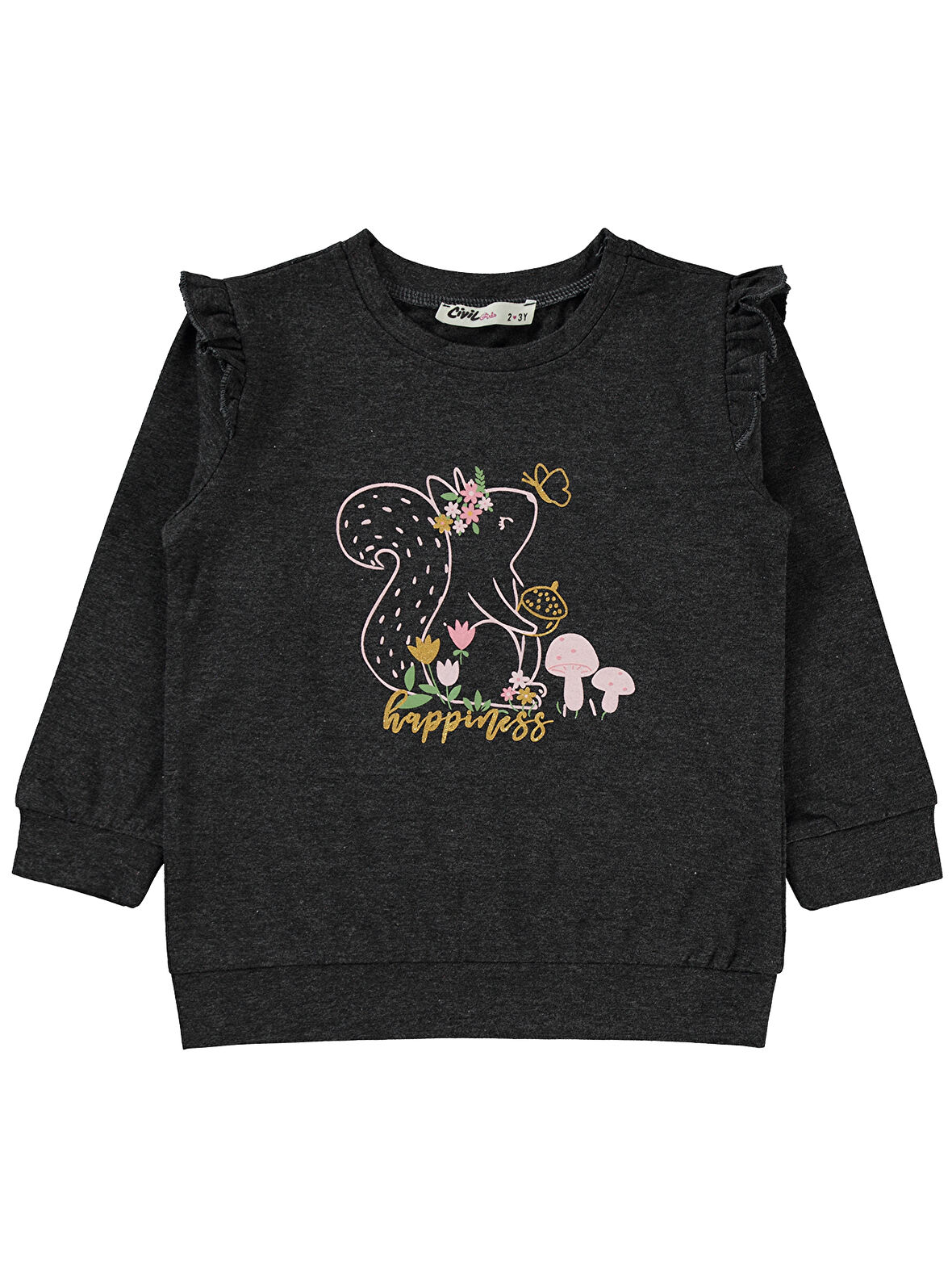 Civil Girls Kız Çocuk Sweatshirt 2-5 Yaş Antrasit