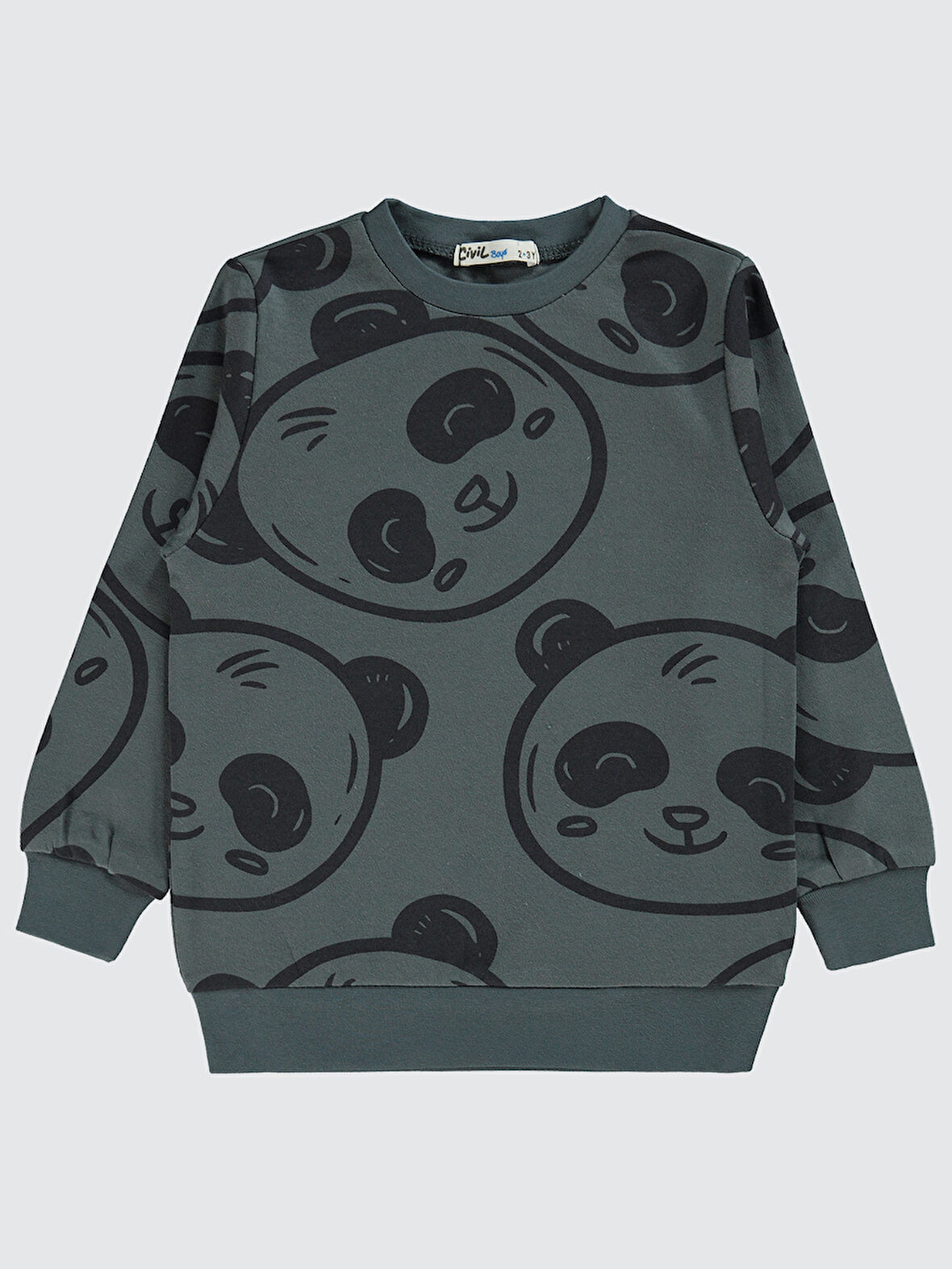 Civil Boys Erkek Çocuk Sweatshirt 2-5 Yaş Antrasit