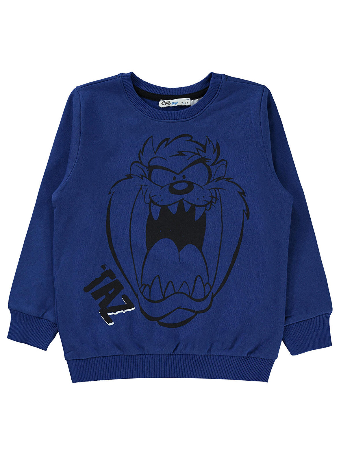 Tazmania Canavarı Erkek Çocuk Sweatshirt 2-5 Yaş Saks Mavisi