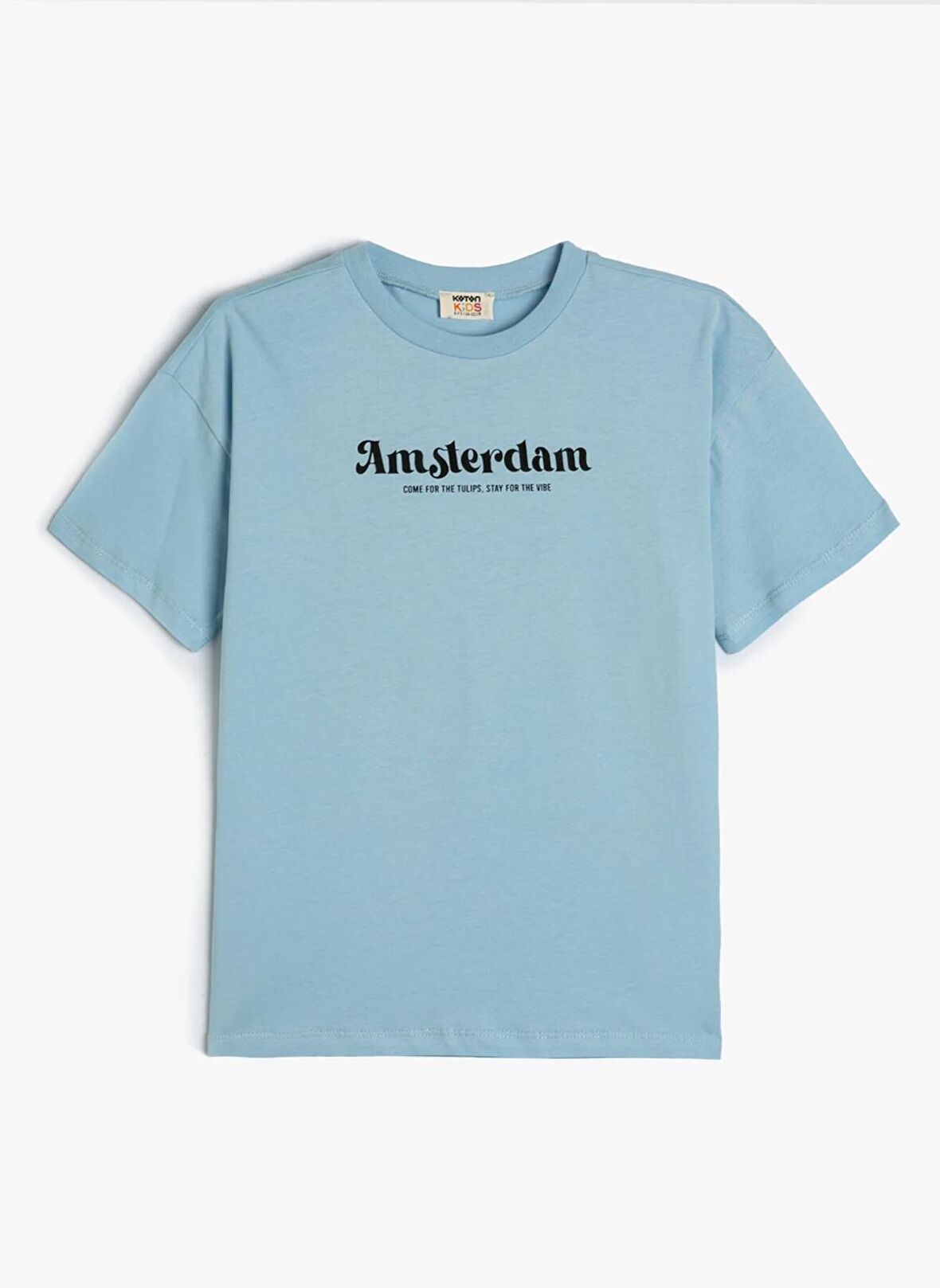 Koton Mavi Erkek T-Shirt 4SKB10325TK