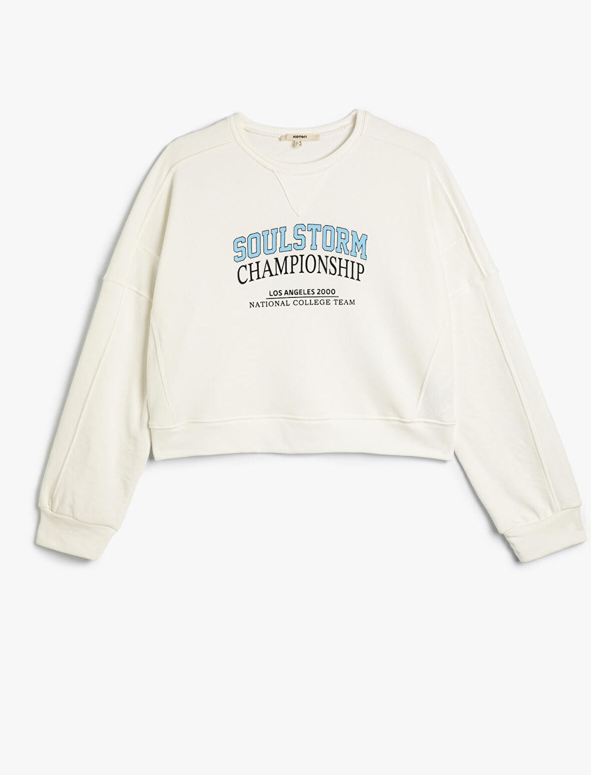 Kolej Sweatshirt Bisiklet Yaka Baskılı Standart Kesim