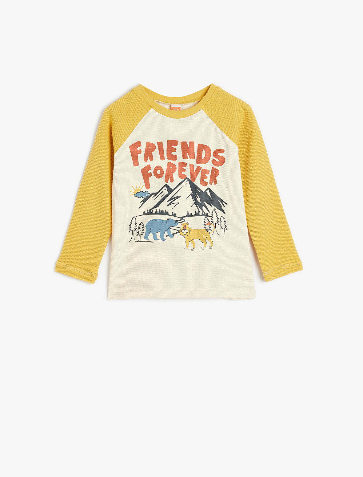 Uzun Kollu Tişört Baskı Detaylı Bisiklet Yaka