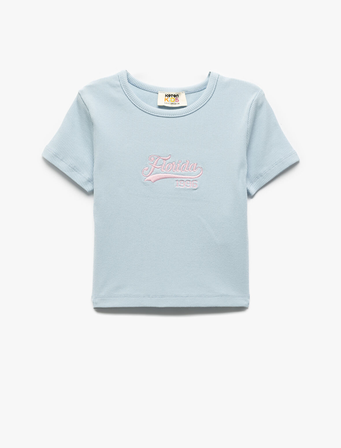 Nakış Detaylı Bisiklet Yaka Kısa Kollu Pamuklu Crop Tişört