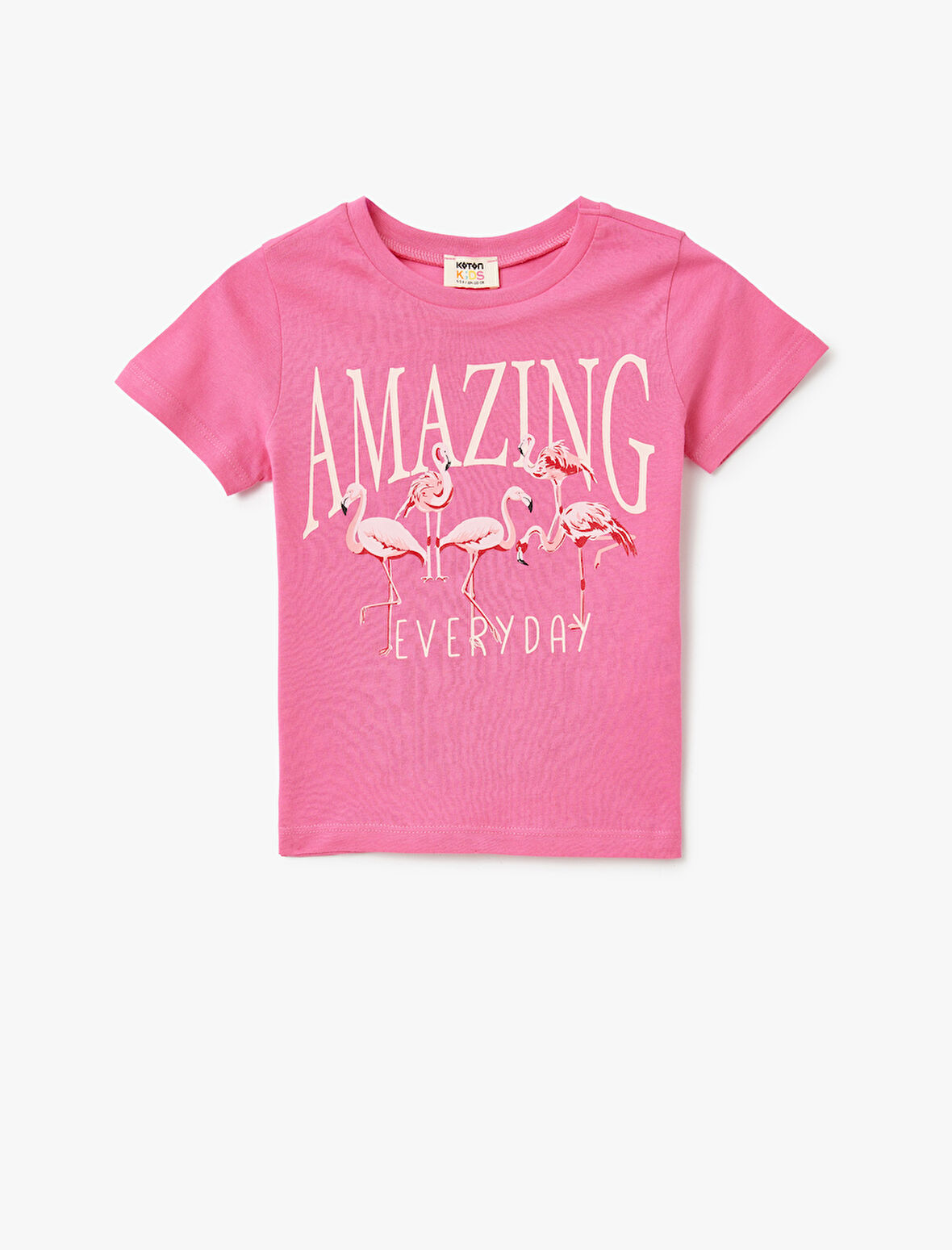 Pamuklu Bisiklet Yaka Kısa Kollu Flamingo Baskılı Tişört