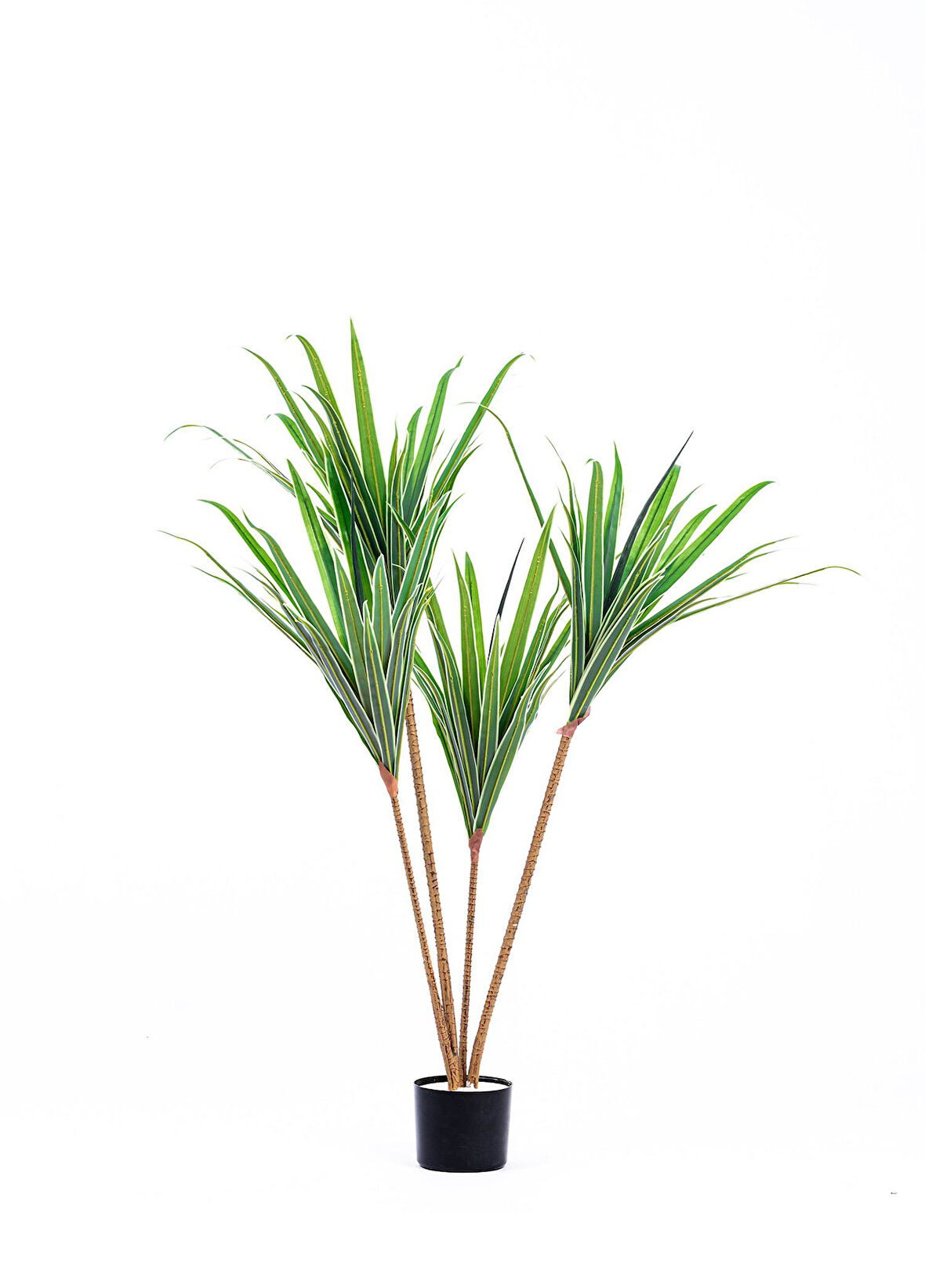 The Mia Yapay Dracaena Ağacı 3 Dallı 120 cm