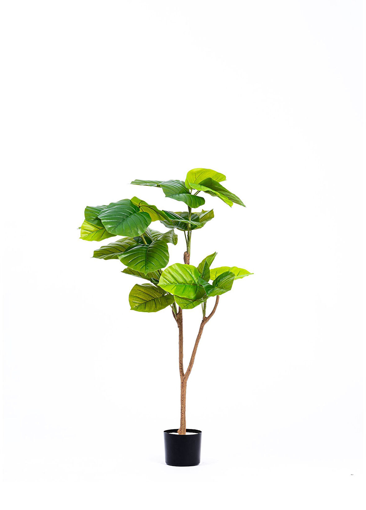 The Mia Yapay Ficus Umbellata Ağacı Yeşil 120 cm