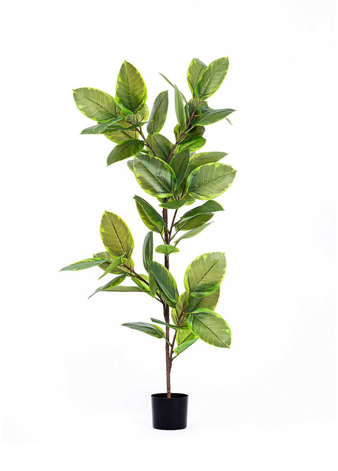 The Mia Yapay Ficus Altissima Ağacı Yeşil 170 cm