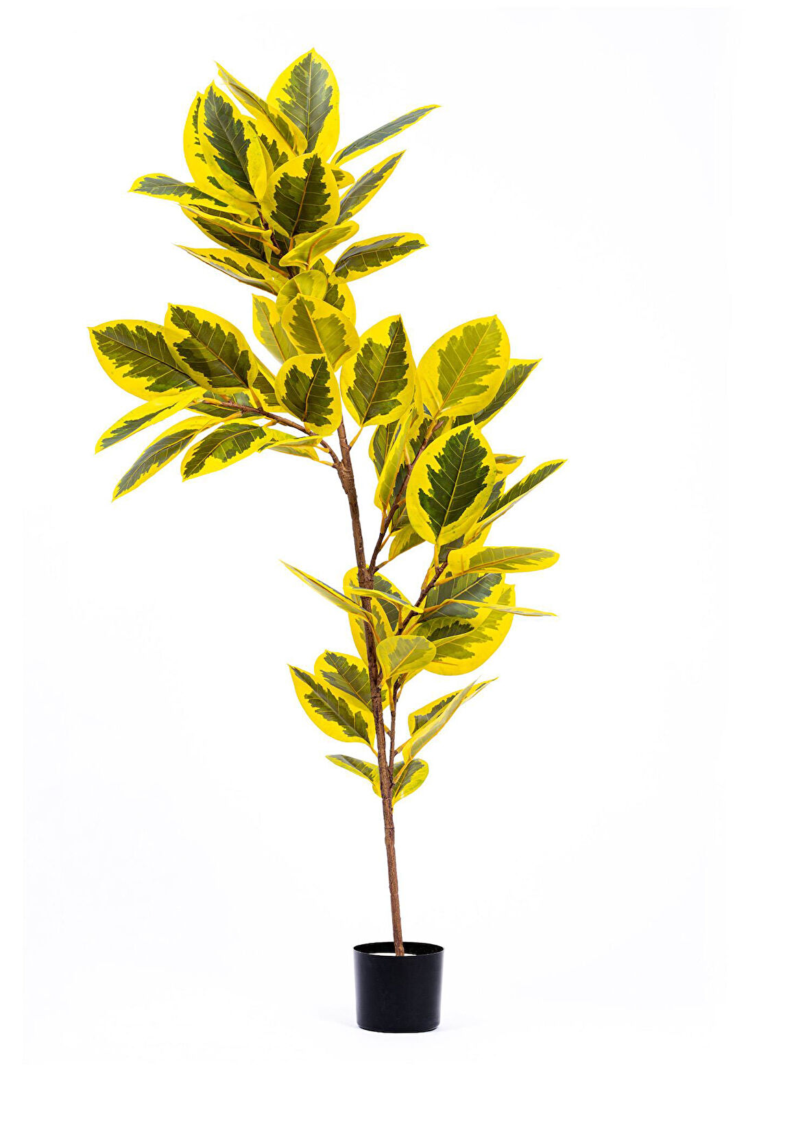 The Mia Yapay Ficus Altissima Ağacı Sarı Yeşil 170 cm