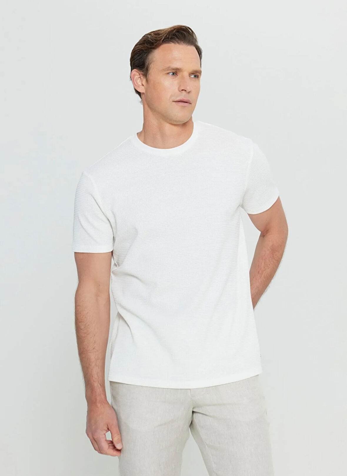 Altınyıldız Classics Bisiklet Yaka Jakarlı Ekru Erkek T-Shirt ACE091252303_EKR