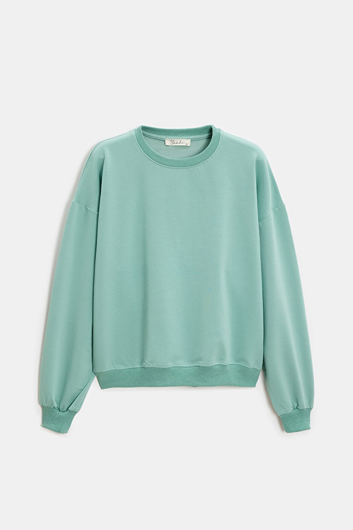 Mint - L Kadın Oversize Bisiklet Yaka Basic Casual Sweatshirt