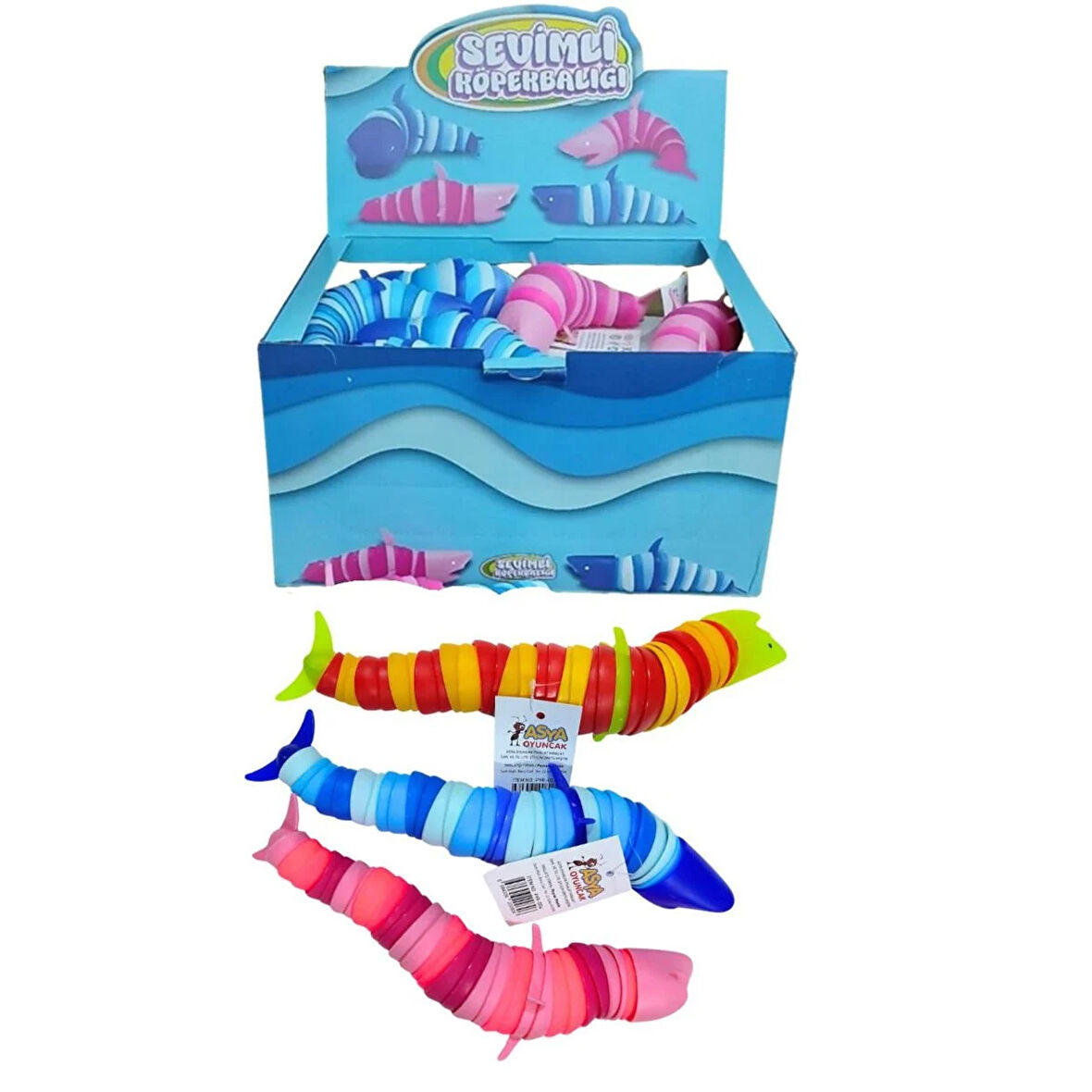 PYR004 BÜYÜK KÖPEK BALIĞI