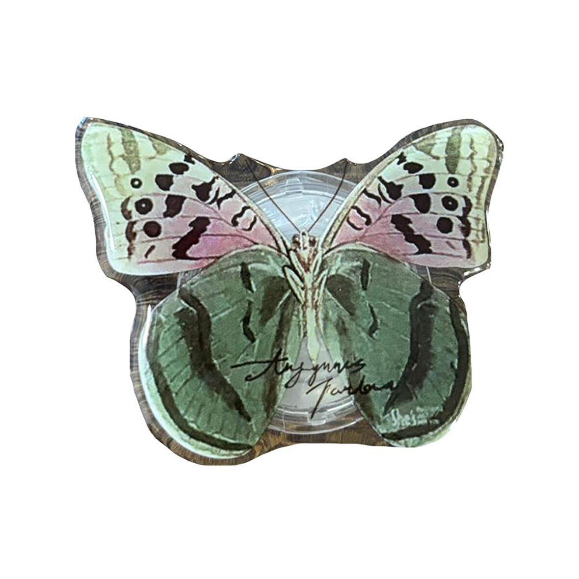 E2M POP SOCKET TELEFON TUTUCU BENEKLİ KELEBEK YEŞİL