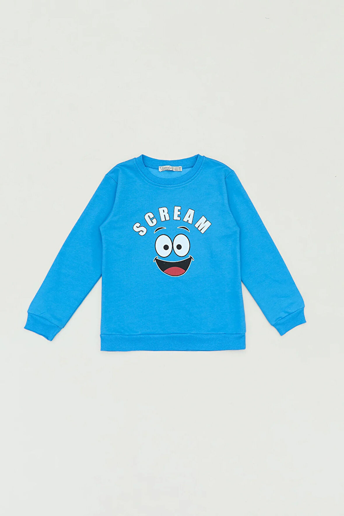 Scream Yazı Baskılı Erkek Çocuk Sweatshirt