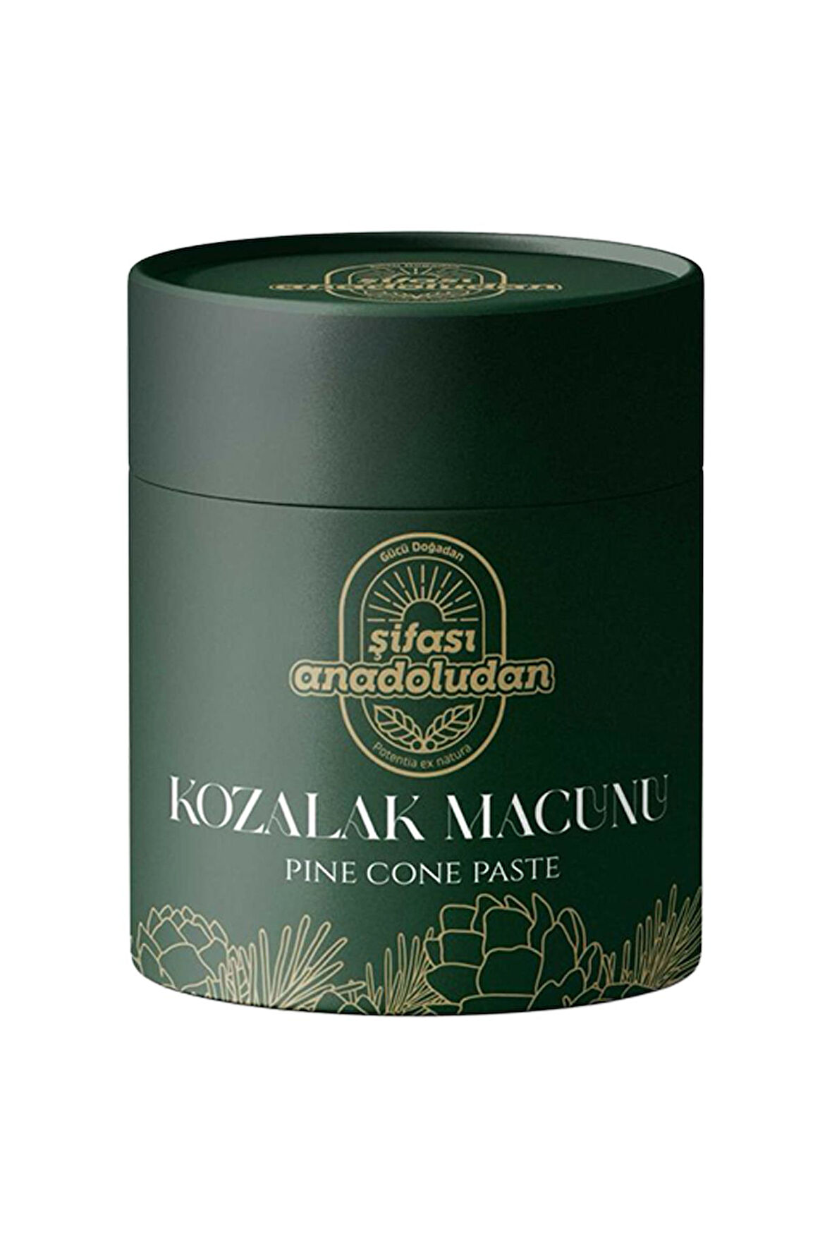 Şifası Anadoludan Kozalak Macunu 240 gr