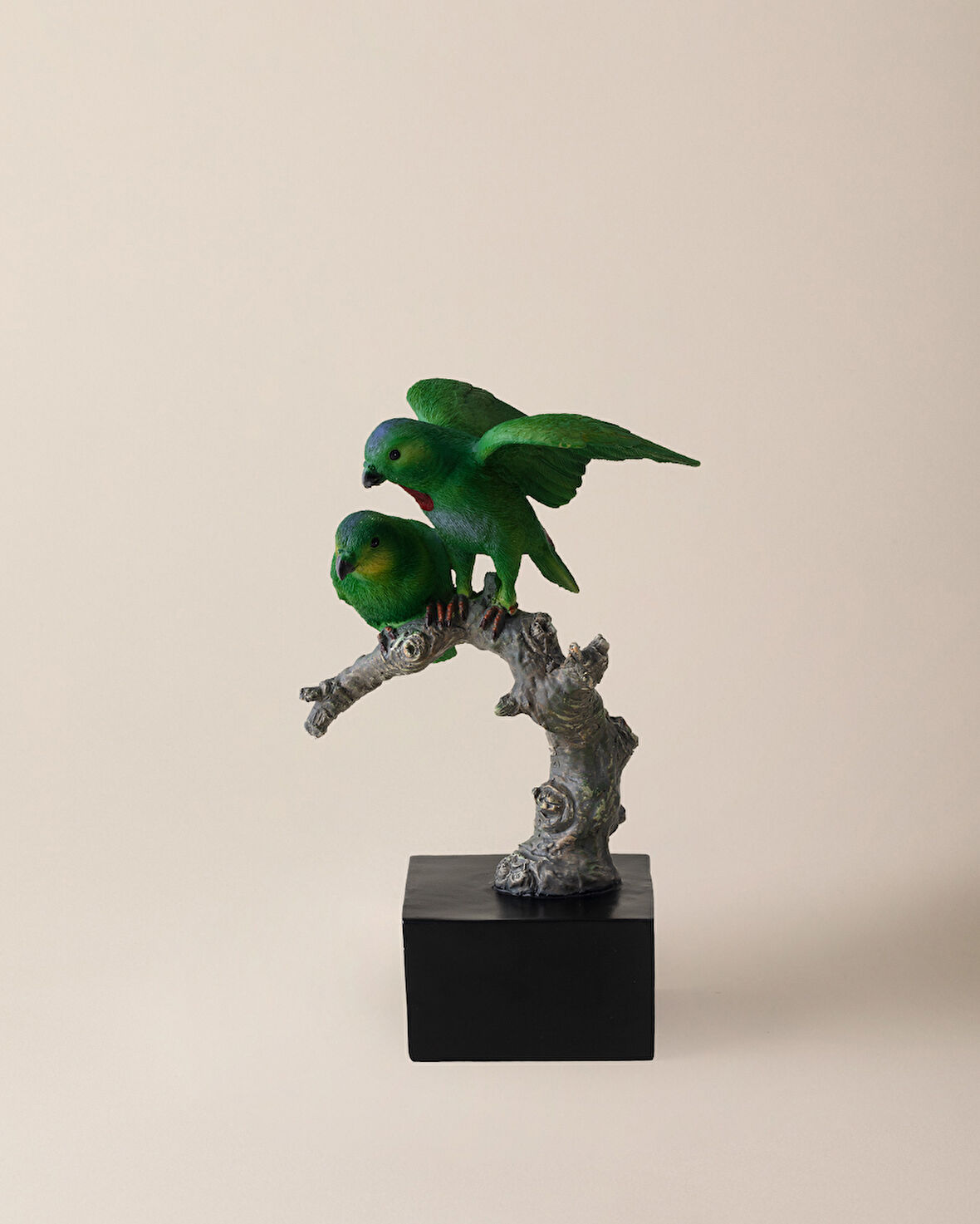 Quill Biblo - Renkli