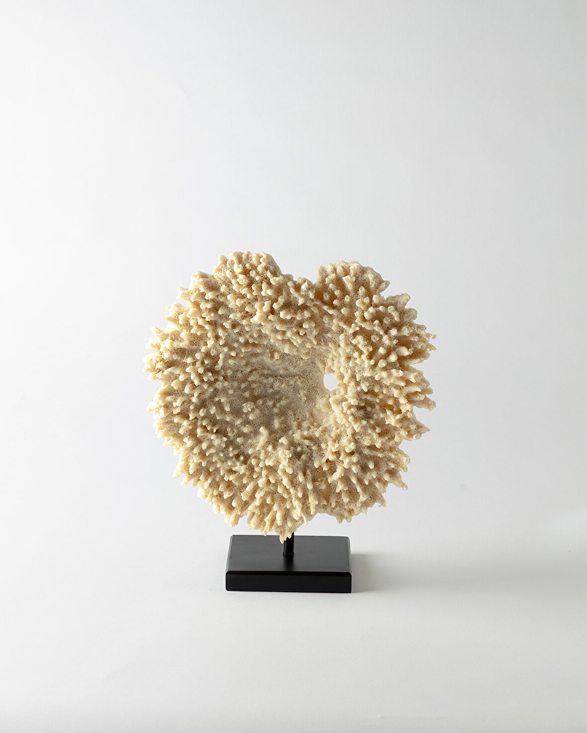 Vivienne Biblo - Krem