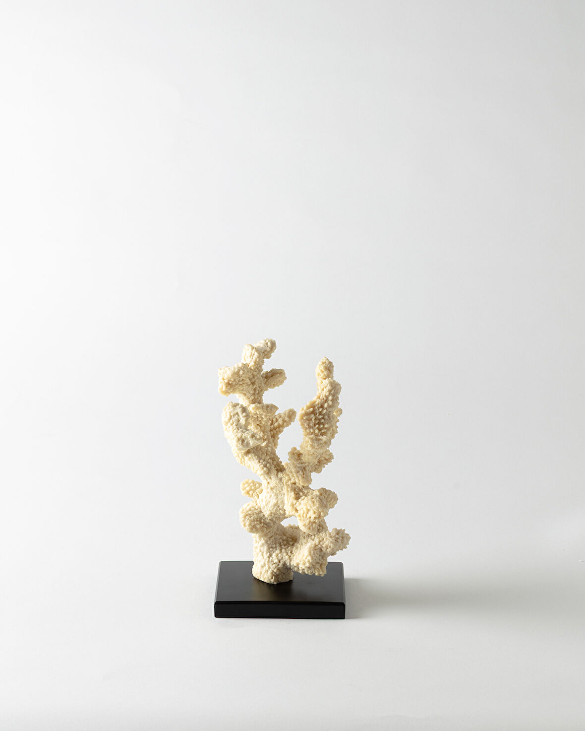 Josephine Biblo - Krem