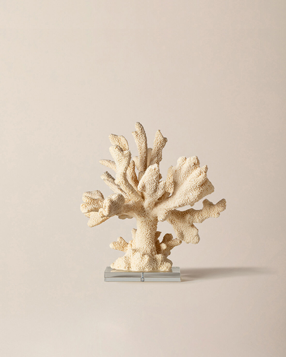 Beatrice Biblo - Krem