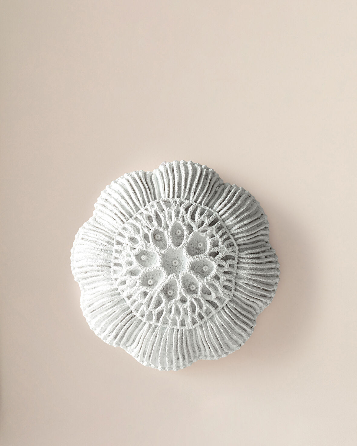 Coralie Duvar Aksesuarı - Beyaz