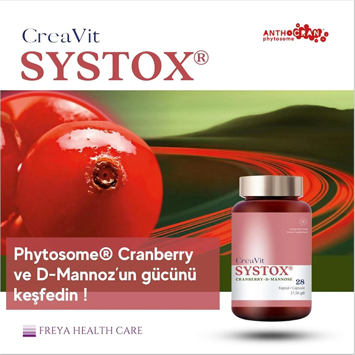 Creavit Systox® Phytosome® Cranberry (Turna Yemişi) ve D-Mannoz Içeren Takviye Edici Gıda, 28 Kapsül