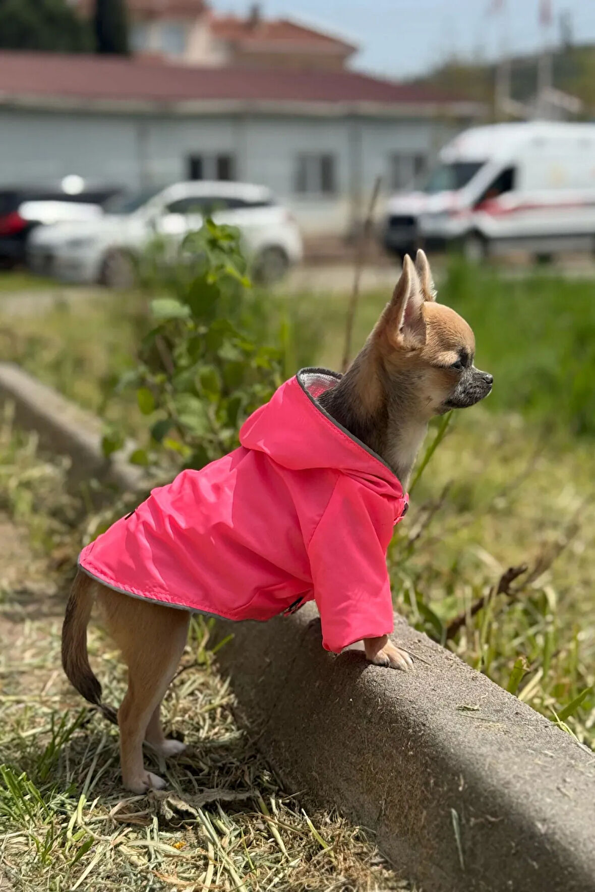 Patilinka Kedi Köpek Kışlık Kıyafet – Pembe Kapüşonlu Yağmurluk