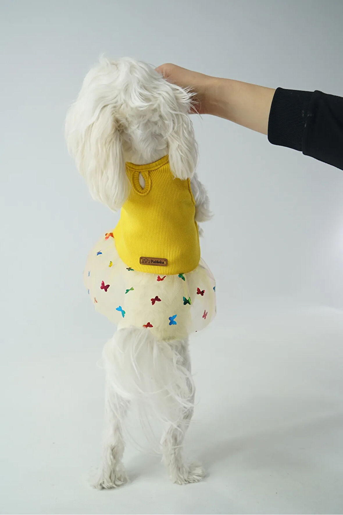 Patilinka Kedi Köpek Yazlık Kıyafet – Sarı Tütü Elbise