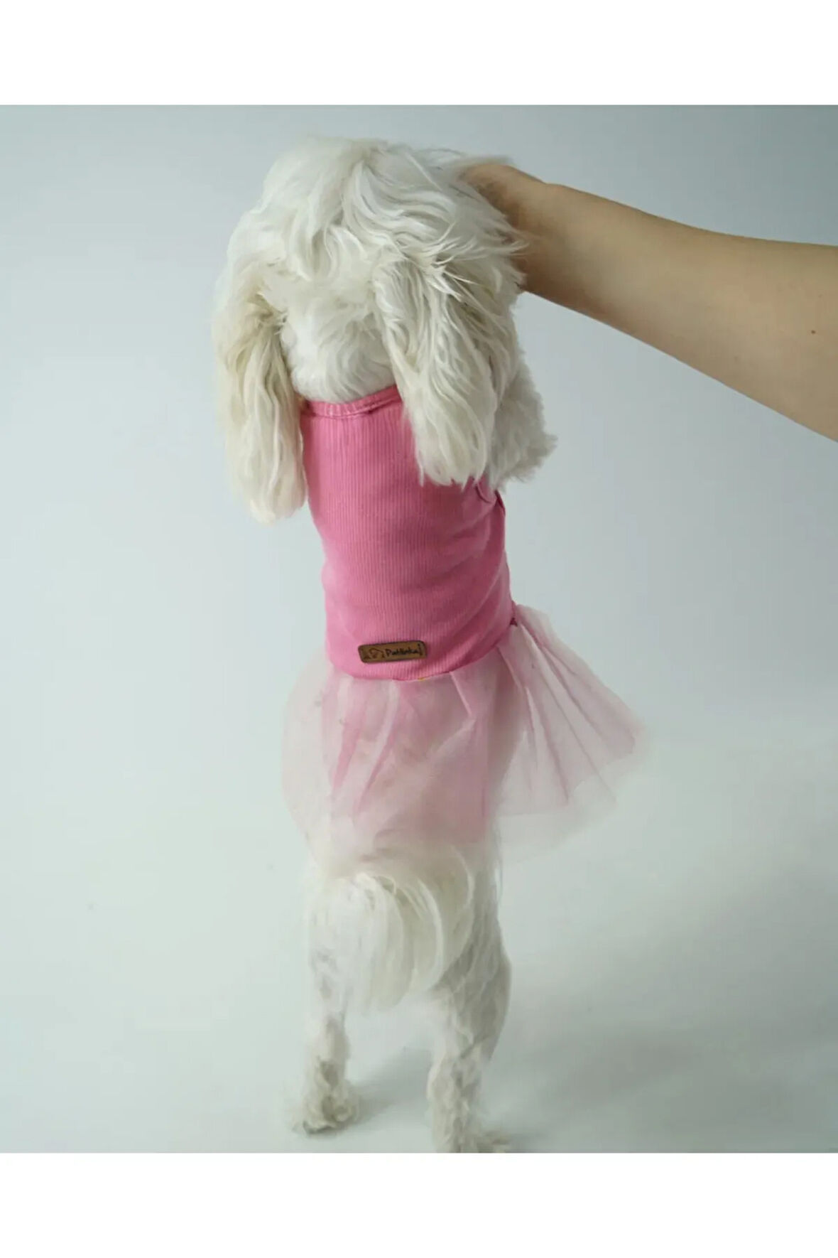 Patilinka Kedi Köpek Yazlık Kıyafet – Pembe Tütü Elbise