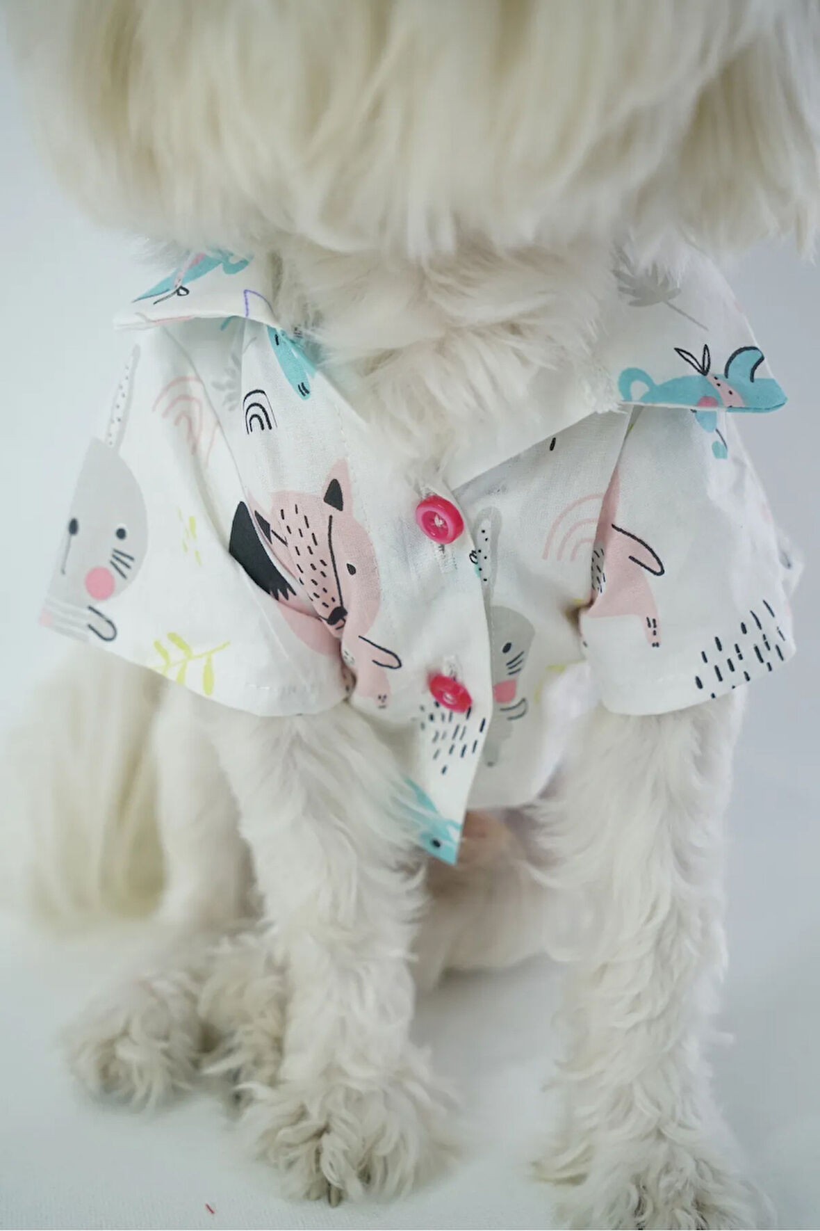 Patilinka Kedi Köpek Yazlık Kıyafet – Beyaz Hayvan Desenli Poplin Gömlek