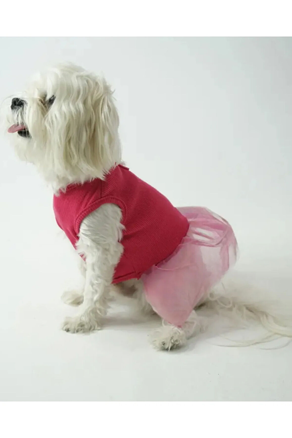 Patilinka Kedi Köpek Yazlık Kıyafet – Fuşya Tütü Elbise