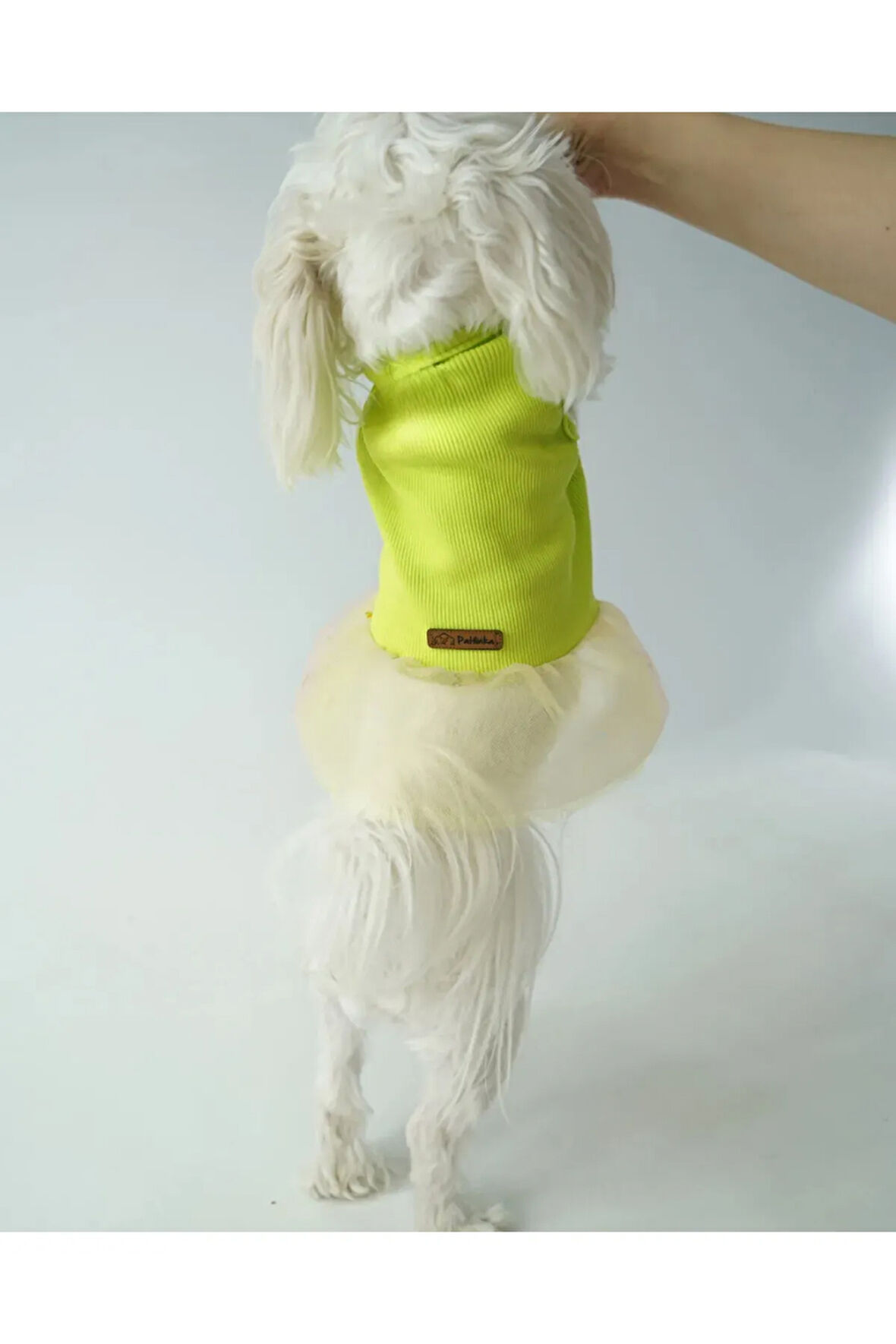 Patilinka Kedi Köpek Yazlık Kıyafet – Fıstık Yeşili Tütü Elbise