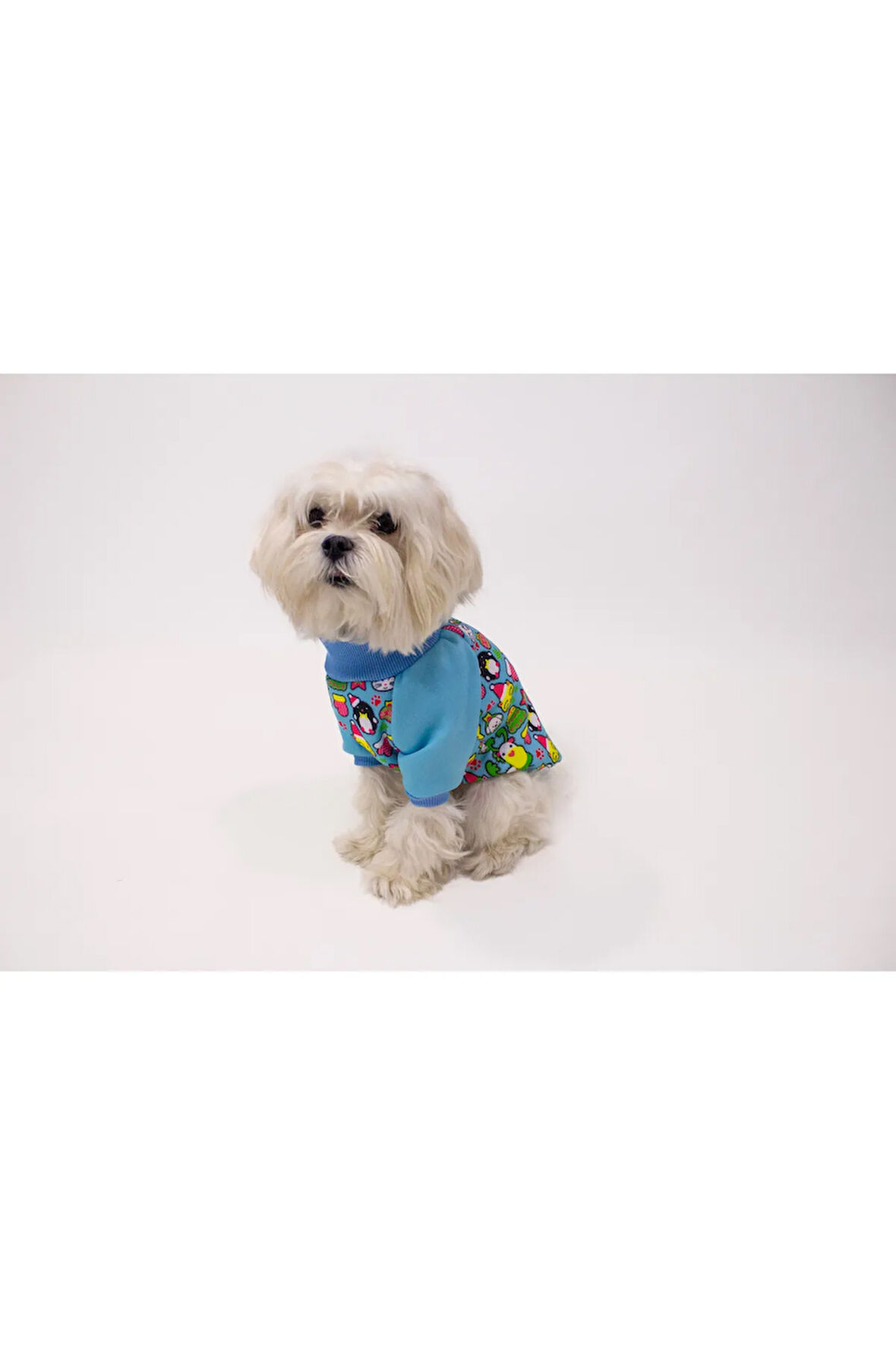 Patilinka Kedi Köpek Kışlık Kıyafet – Mavi Şardonlu Desenli Sweat