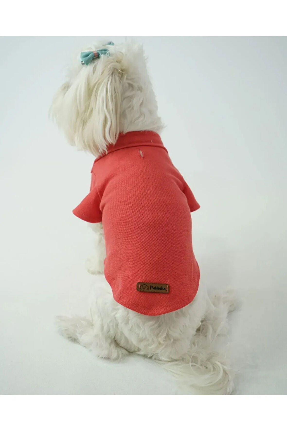 Patilinka Kedi Köpek Yazlık Kıyafet – Narçiçeği Polo Yaka Tişört