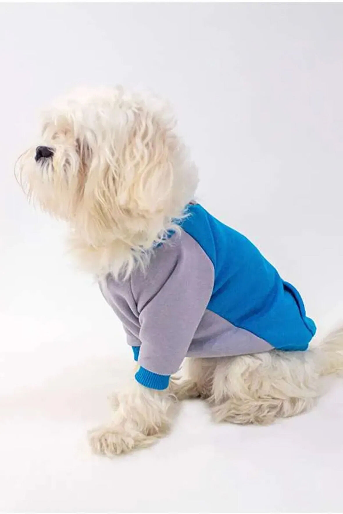 Patilinka Kedi Köpek Kıyafeti – Mevsimlik Kapüşonlu Mavi&Gri Sweat