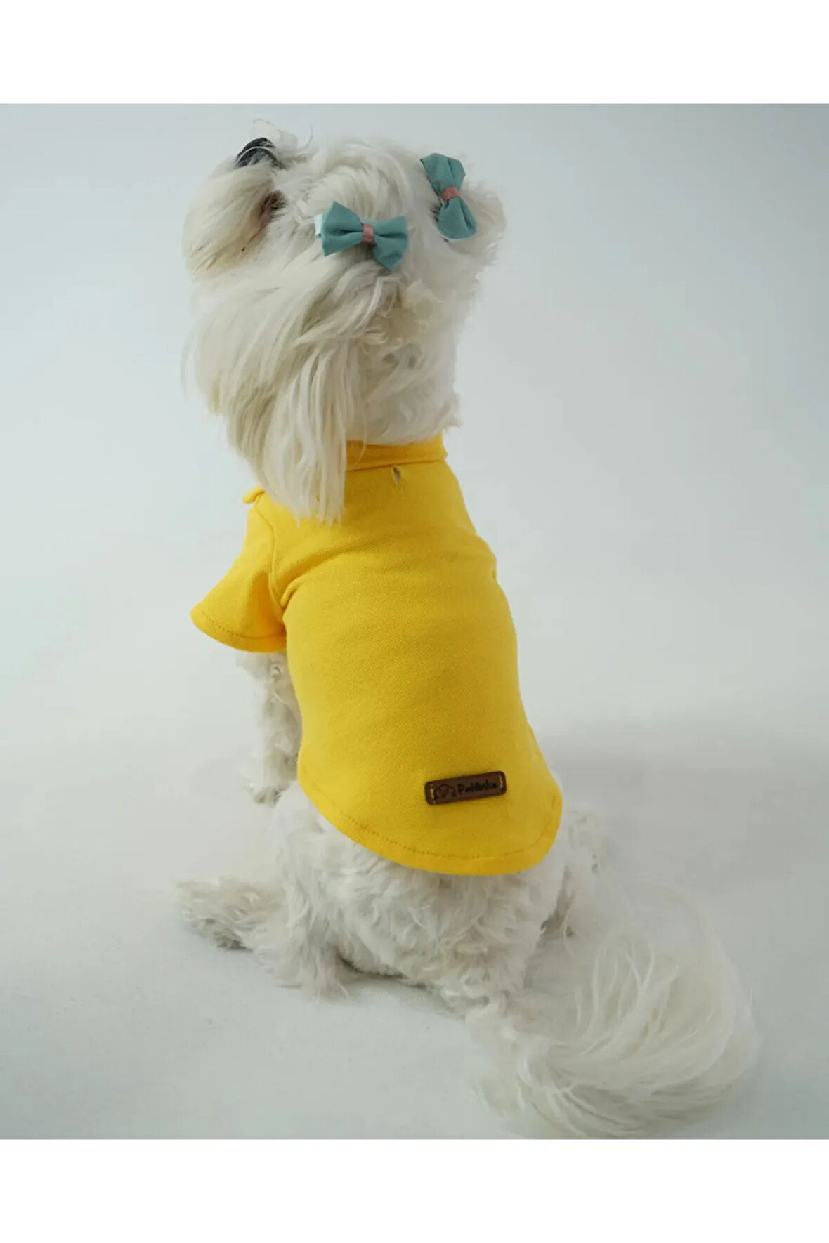 Patilinka Kedi Köpek Yazlık Kıyafet – Sarı Polo Yaka Tişört